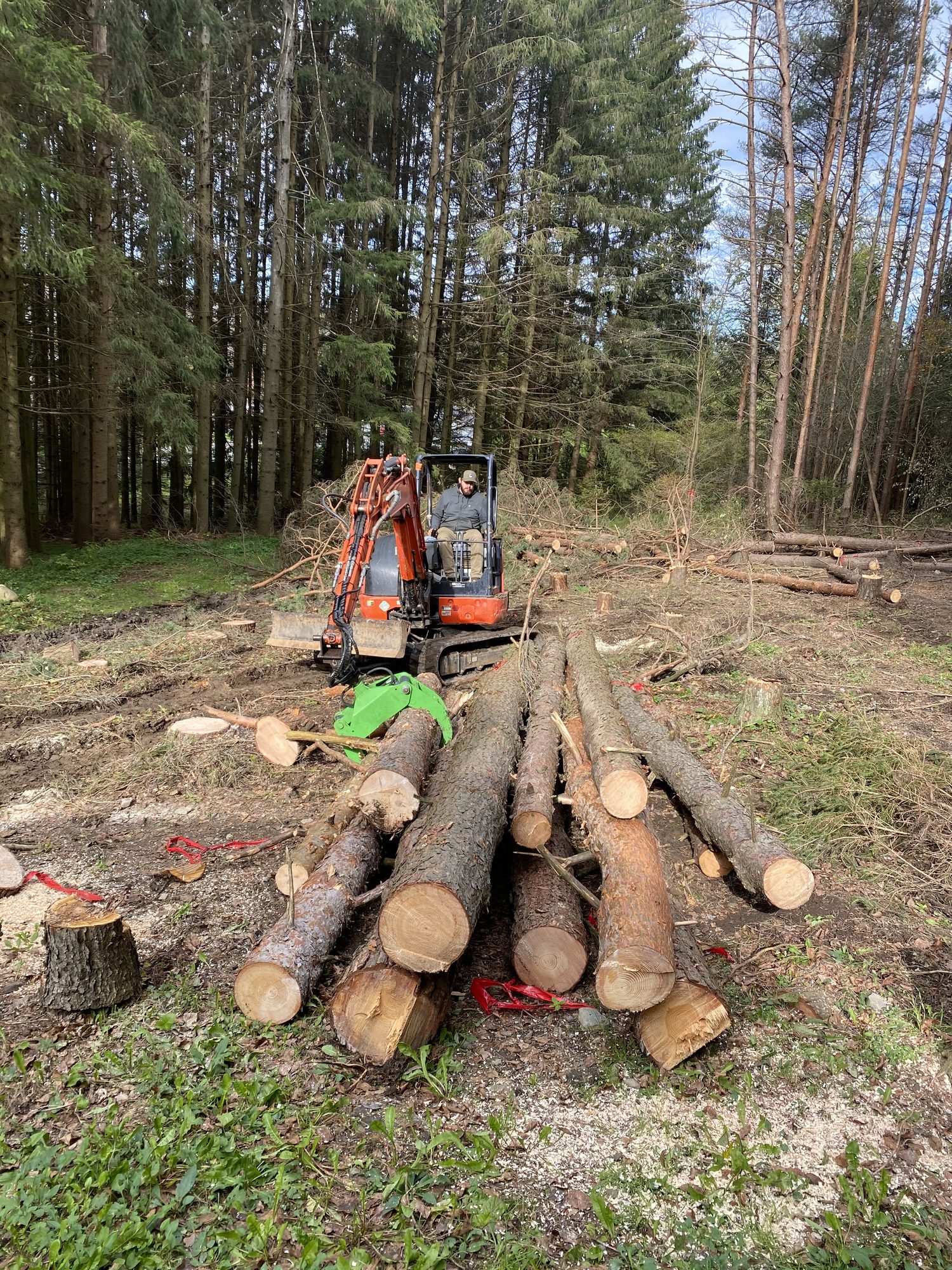 A pile of cut logs beside a forestry machine on a lot being cleared
