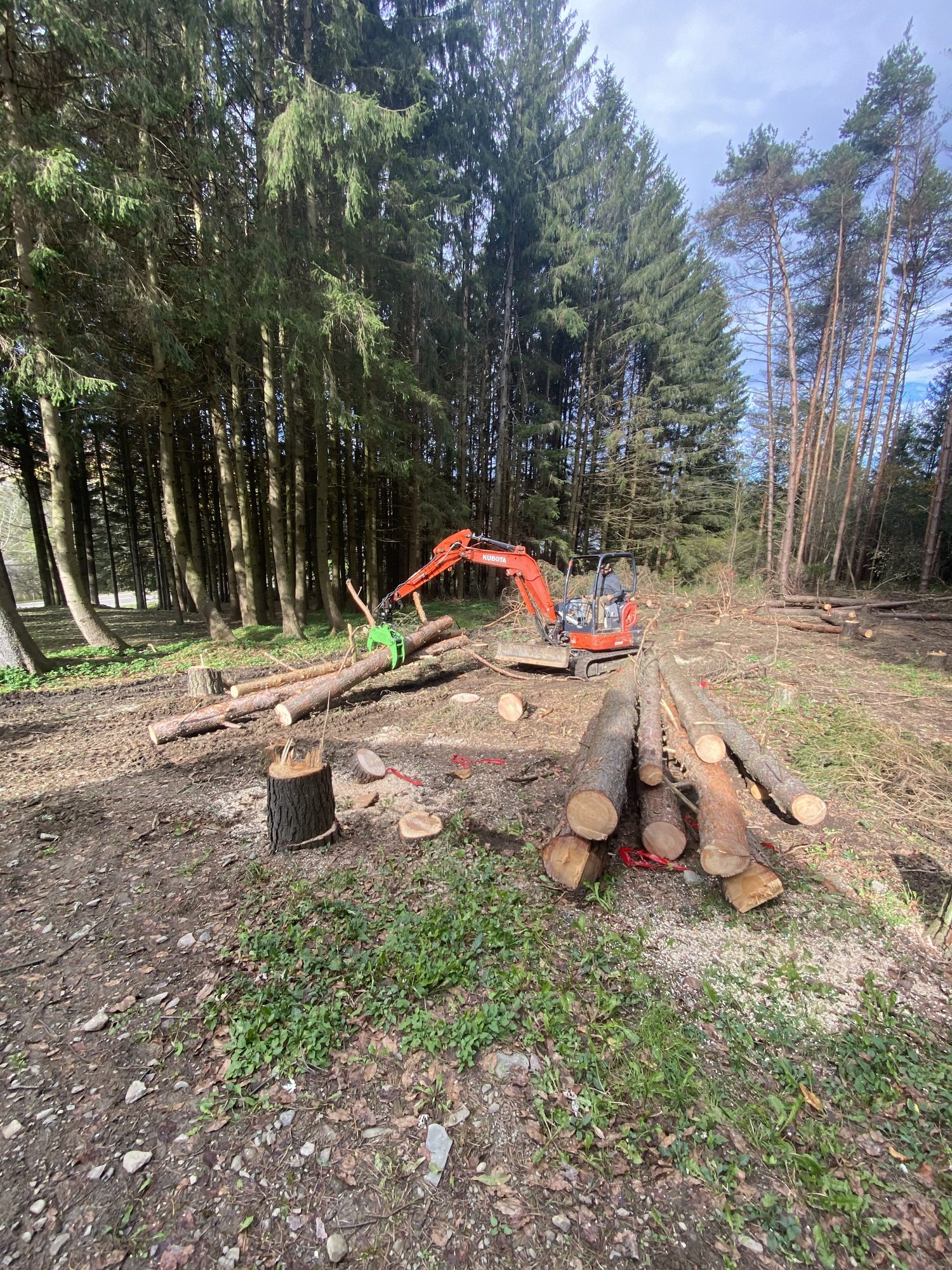 An orange excavator working beside a pile of logs on a cleared site