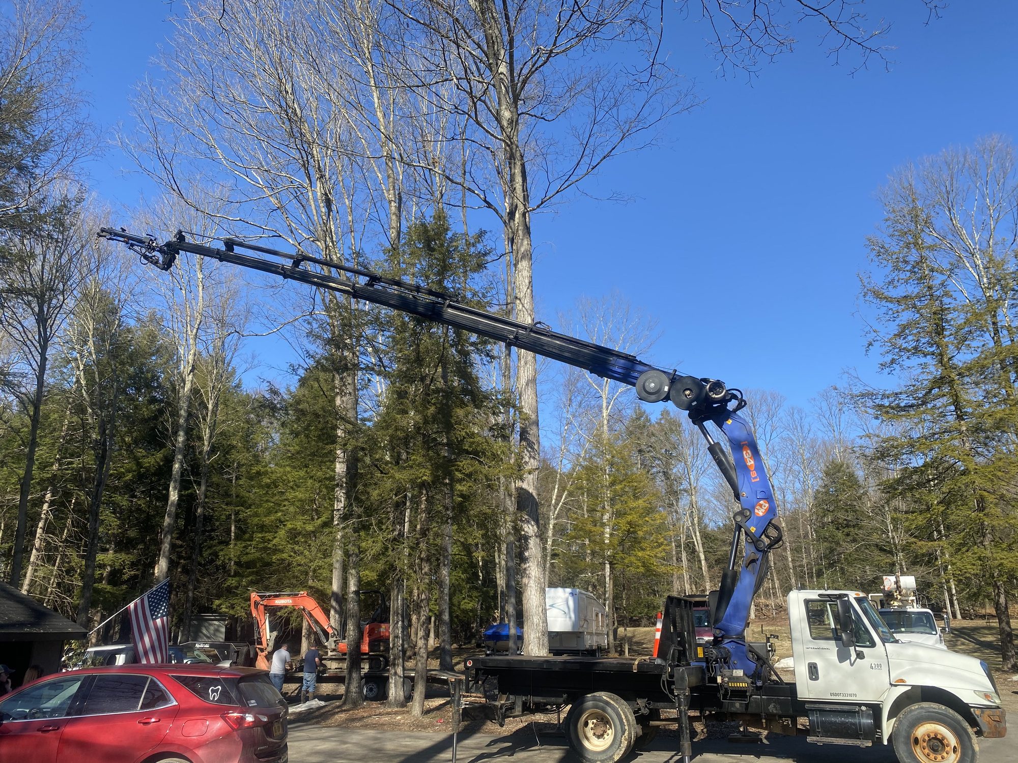 A crane and an excavator working among tall trees on a removal job