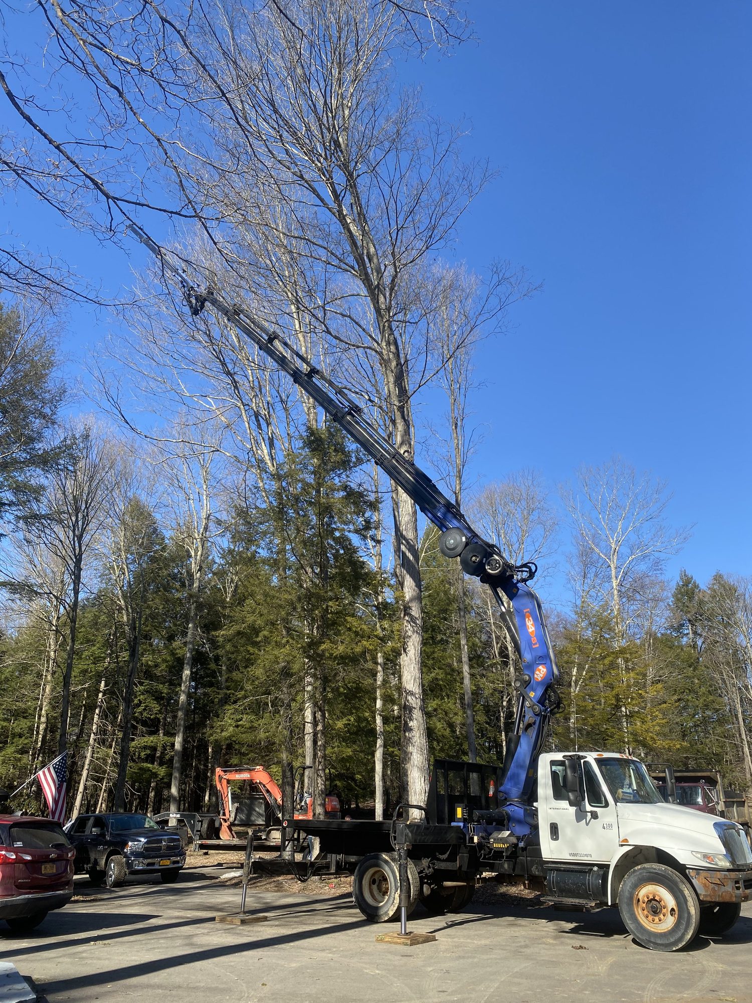 A crane and red excavator positioned for a large tree removal