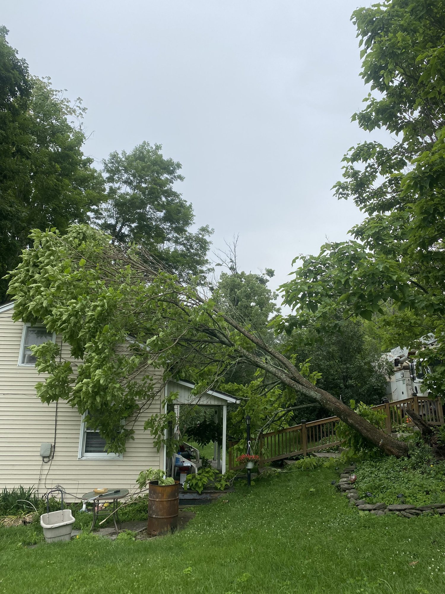 A large fallen limb over a house and yard after a storm