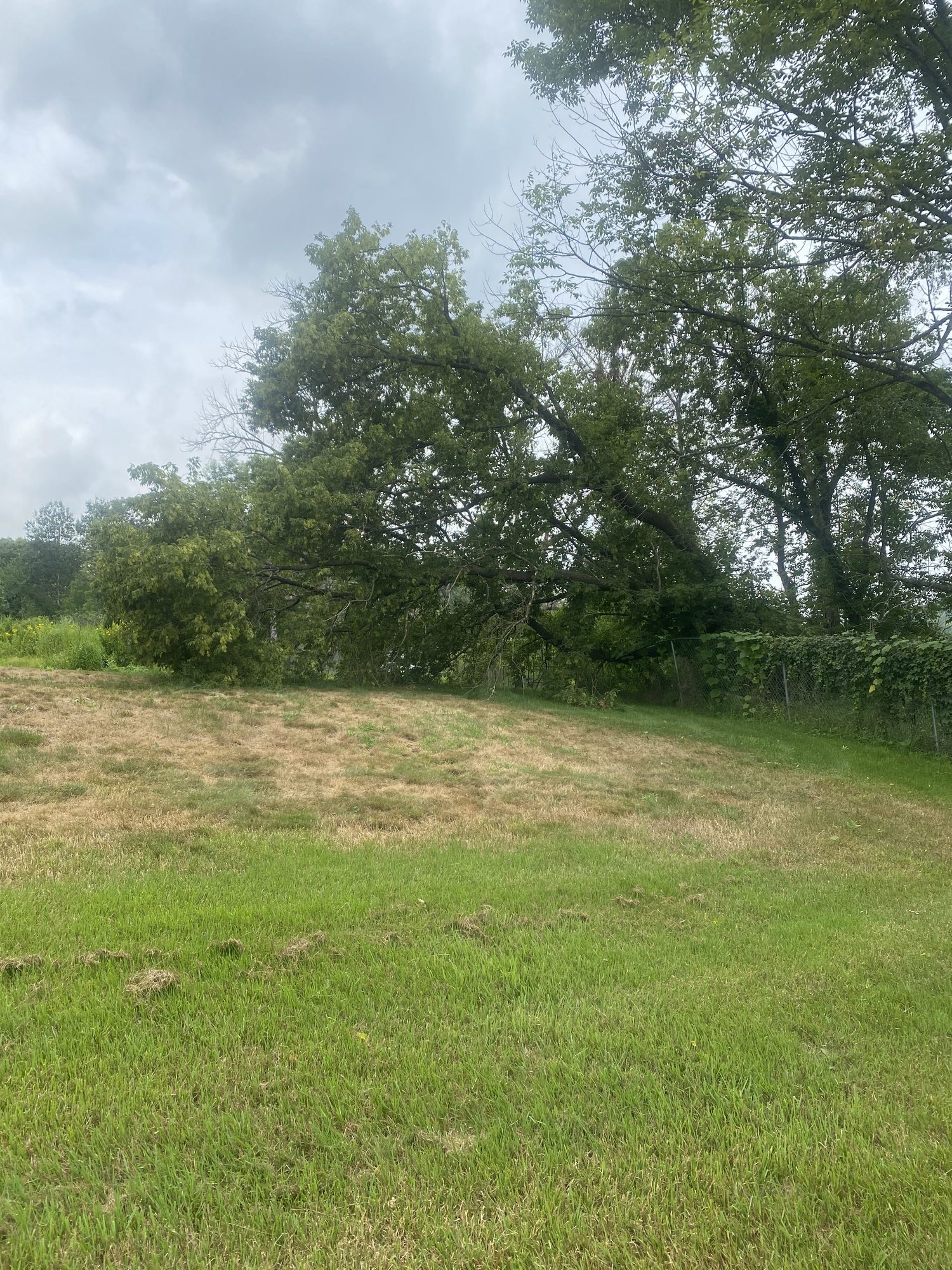 A smooth, finish-graded flat building lot