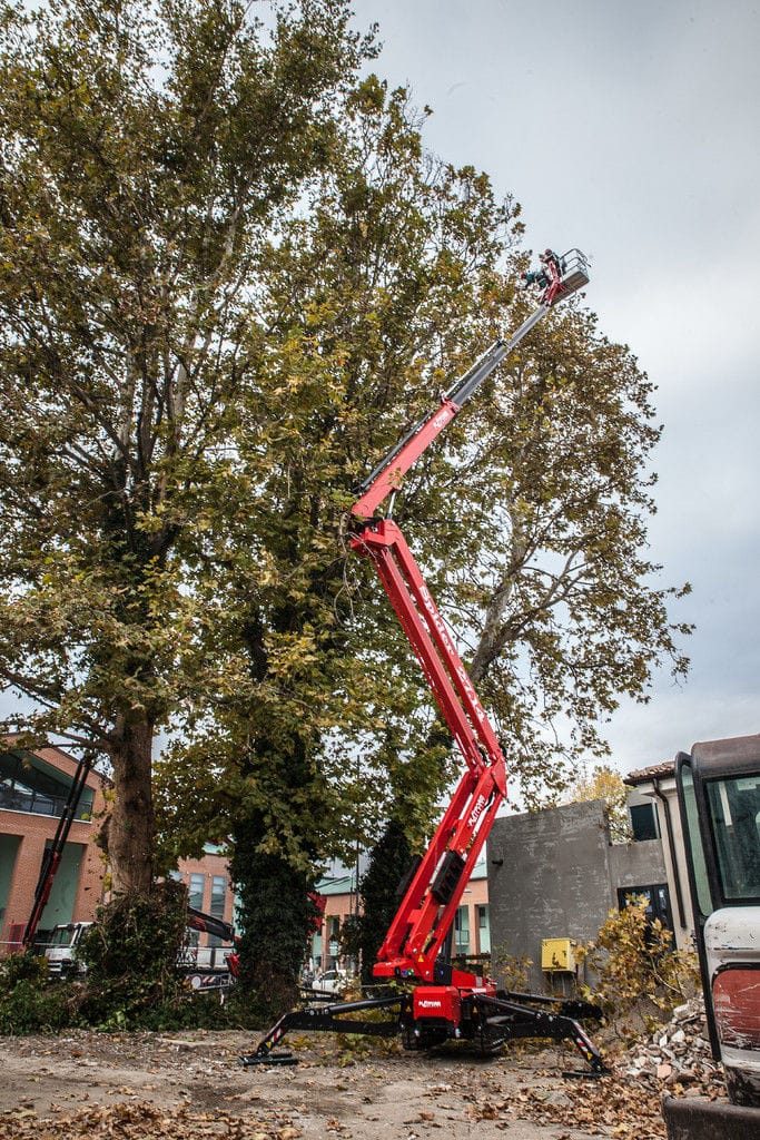 A red spider-lift reaching up into a large tree's canopy for trimming