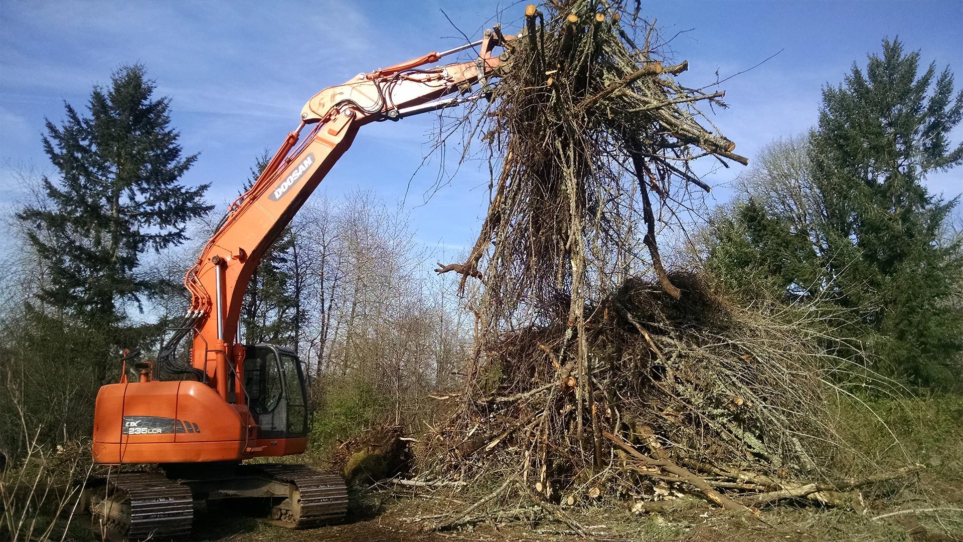 An excavator lifting a large tree root ball on a cleared lot