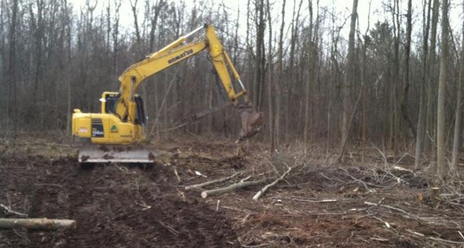 A yellow Komatsu mulching machine clearing thick brush on a lot