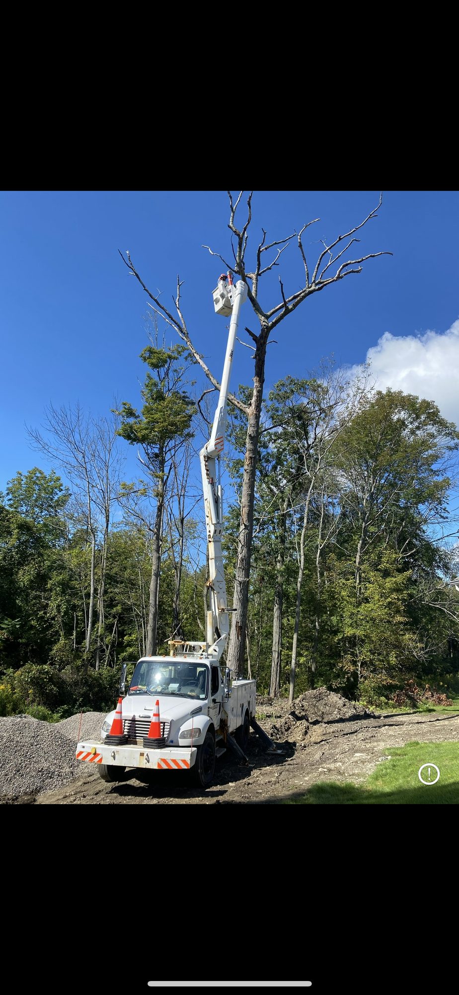 An On the House white bucket truck on a tree-removal job under a clear blue sky