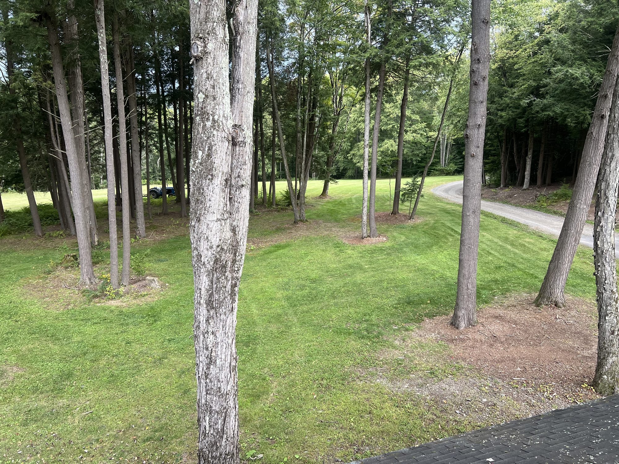 A finished, manicured property with a level graded lawn among trees